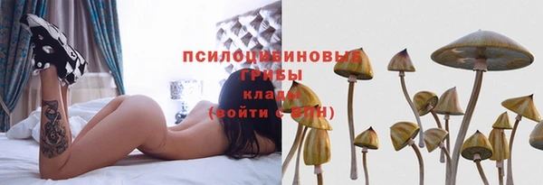 спайс Инсар