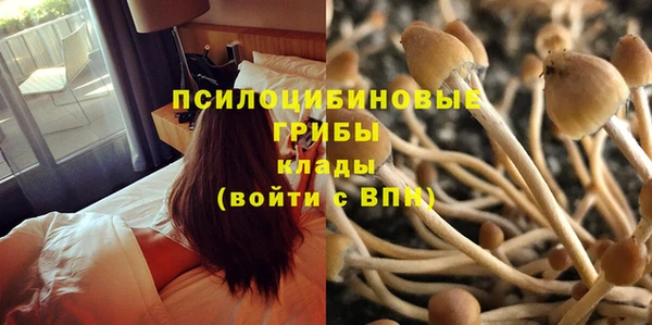спайс Инсар