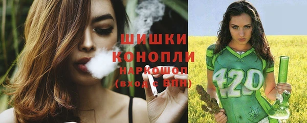 спайс Инсар
