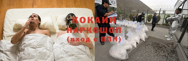 спайс Инсар